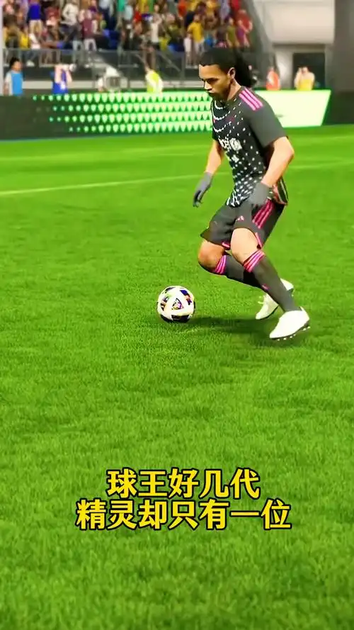 铁卫范迪克